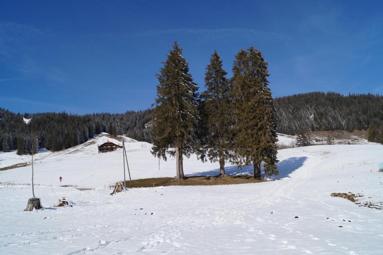 Chalet Alte Post Bad-Schwarzsee Экстерьер фото