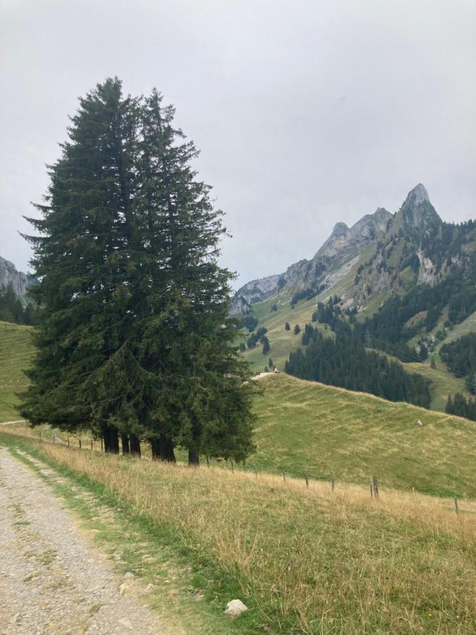 Chalet Alte Post Bad-Schwarzsee Экстерьер фото